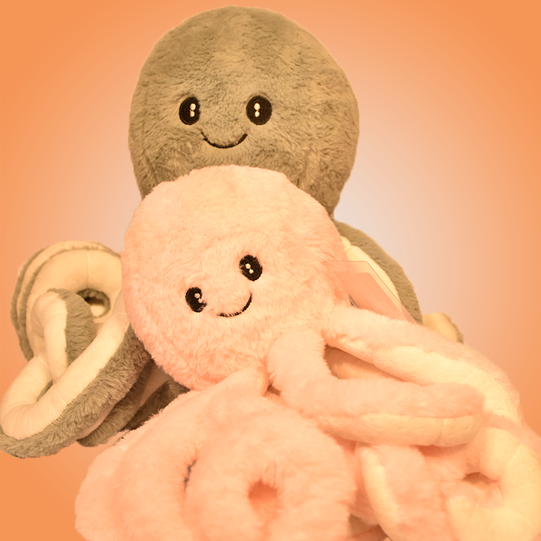 Octopus Plush Set of 2 Soft Toys